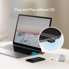 N300 Wireless Nano USB Adapter