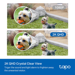 Tapo C420S1 - Smart Wire-Free Security Camera, 1 Camera System