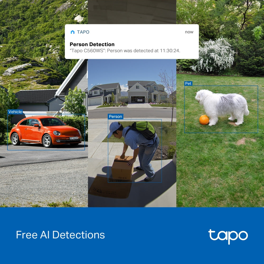 Tapo C560WS - Outdoor Pan/Tilt Security Wi-Fi Camera